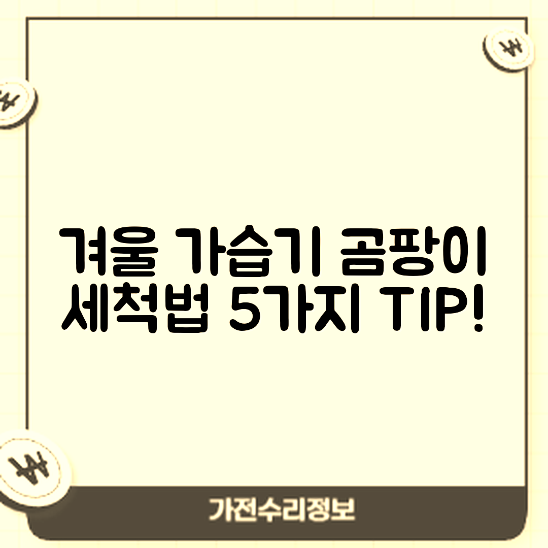 겨울철 가습기 곰팡이 세척 노하우 5가지