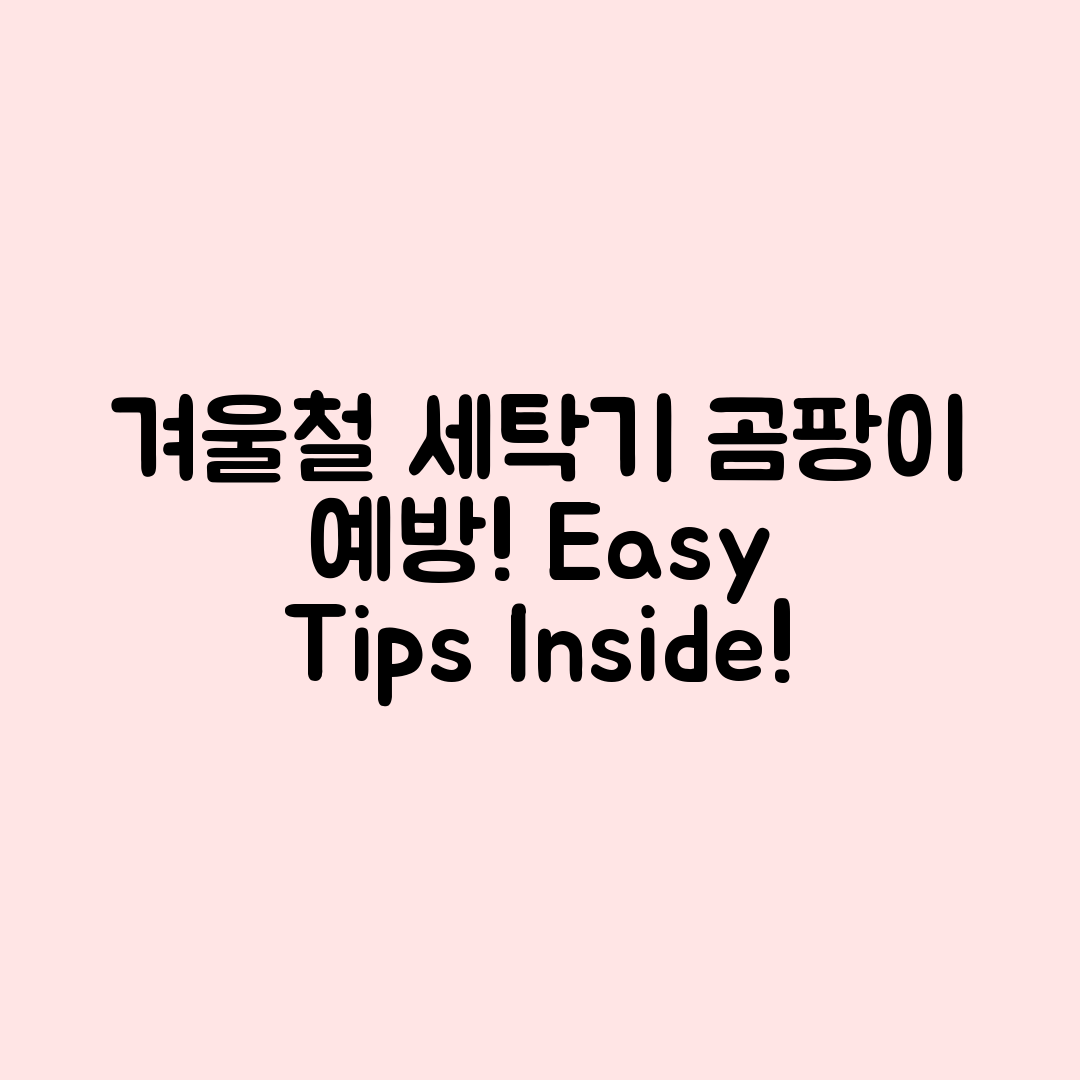 누구나 쉽게 실천하는 겨울철 세탁기 곰팡이 예방