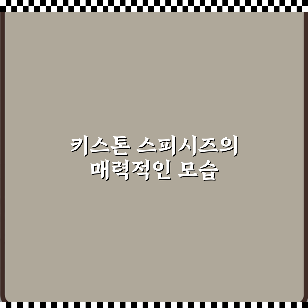 키스톤 스피시즈 방문기 | 남양주 베이커리 추천 리뷰