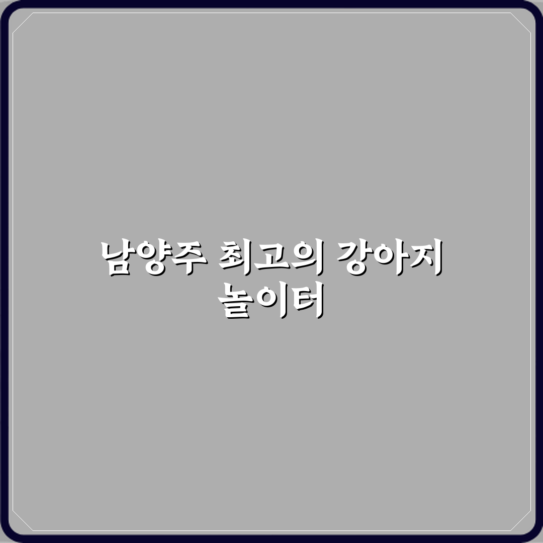 개떼놀이터 남양주 애견운동장 방문기와 솔직 후기 리뷰